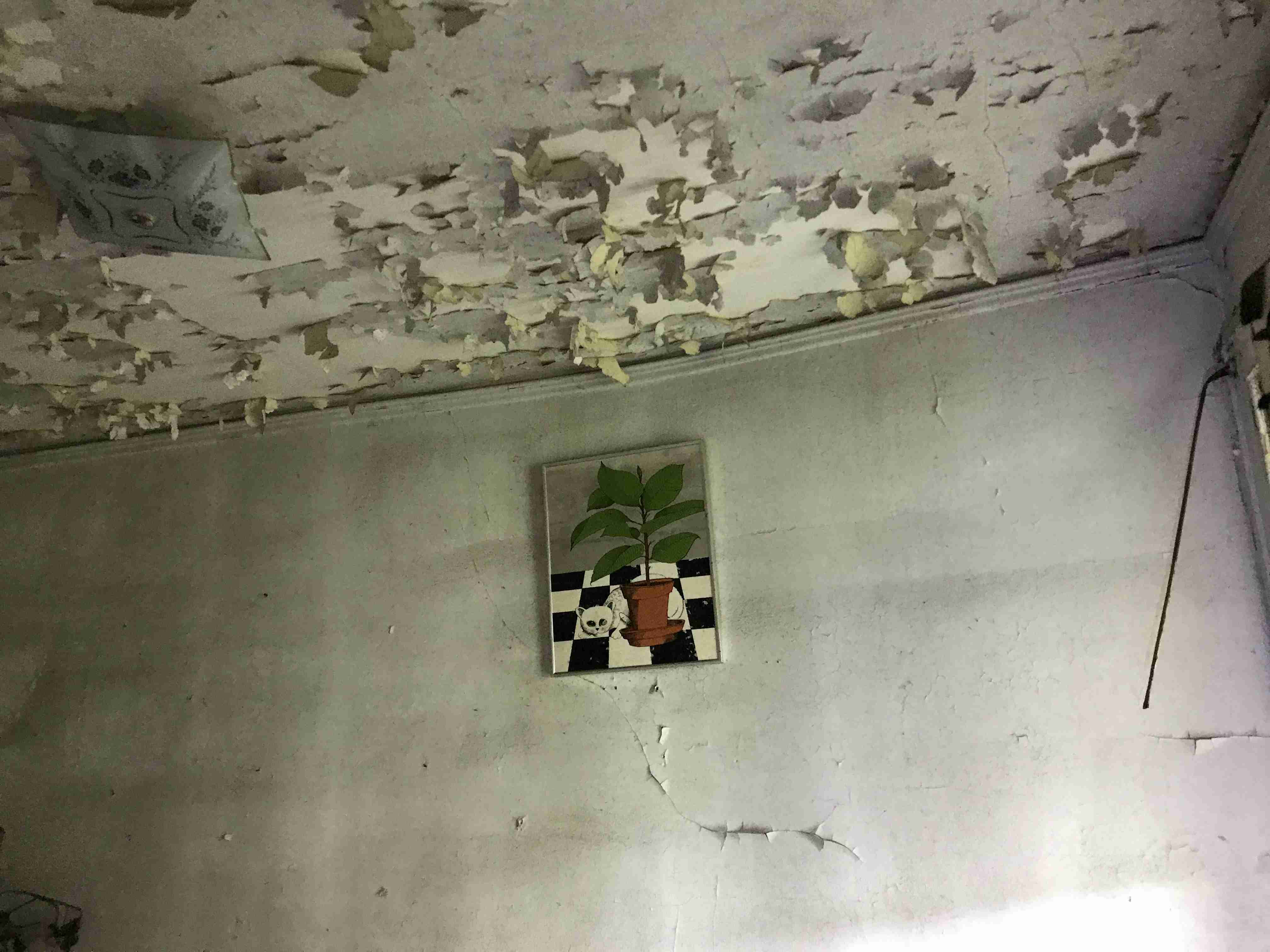 Photo Sep 09, 11 10 18 AM.jpg